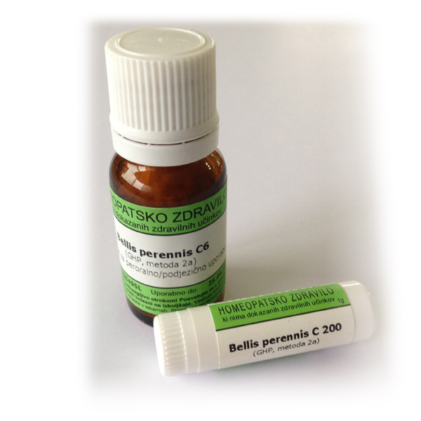 Bellis perennis, kroglice - 10 g (C6)