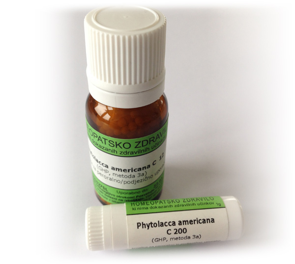 Phytolacca americana, kroglice - 1 g (C30)