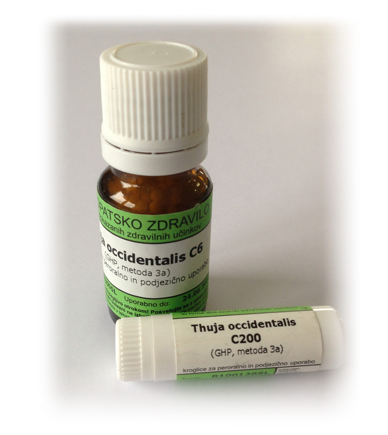 Thuja occidentalis, kroglice - 1 g (C30)