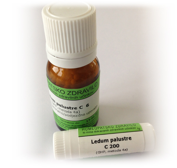 Ledum palustre, kroglice - 1 g (C200)