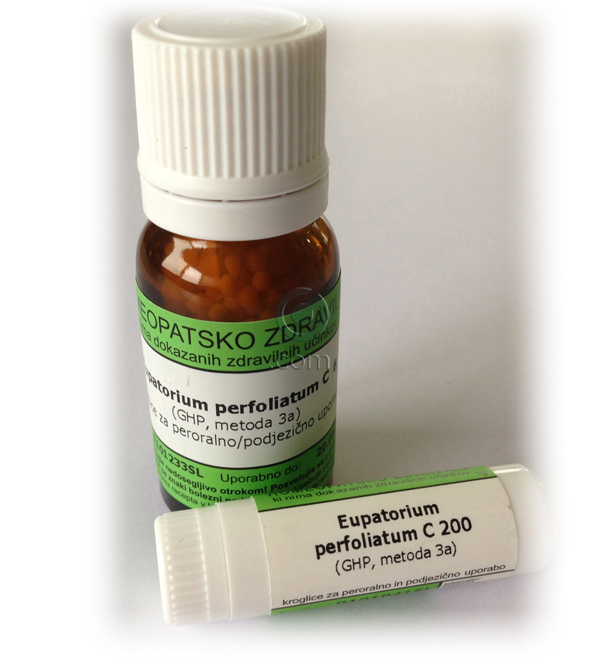 Eupatorium perfoliatum, kroglice - 10 g (C12)