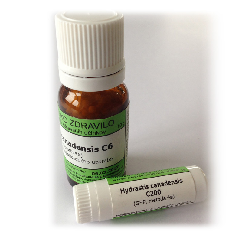 Hydrastis canadensis, kroglice - 10 g (C12)