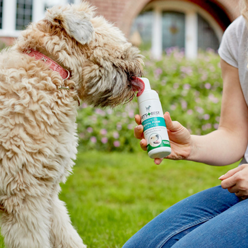 Vet's Best, dentalna pena z encimi (150 ml)