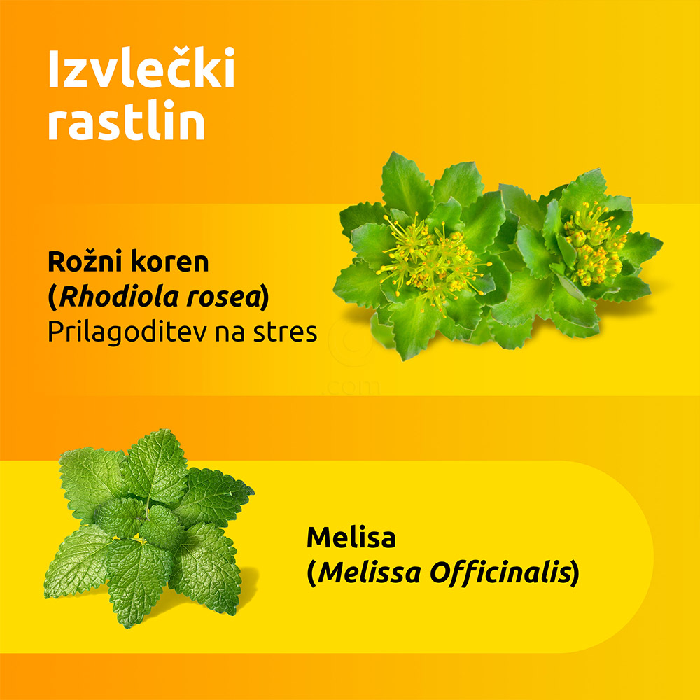 Supradyn Energija No Stress, prašek v vrečicah (20 x 4,5 g)