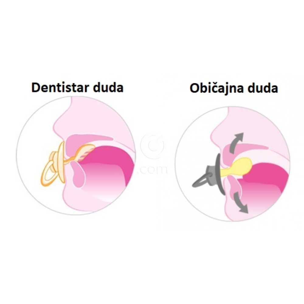 Dentistar, ortodontska silikonska duda z obročkom - velikost 1 (2 dudi + higienska škatlica)