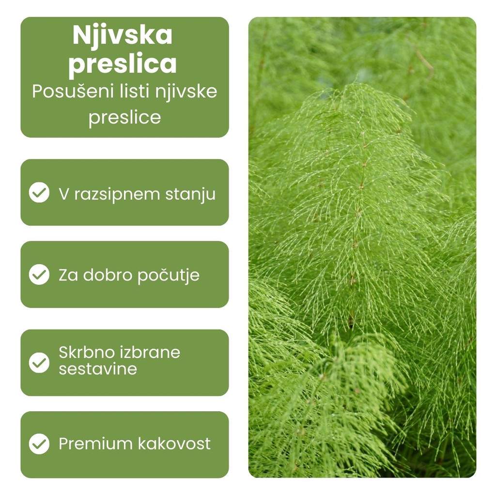 Galex, čaj - njivska preslica (40 g)