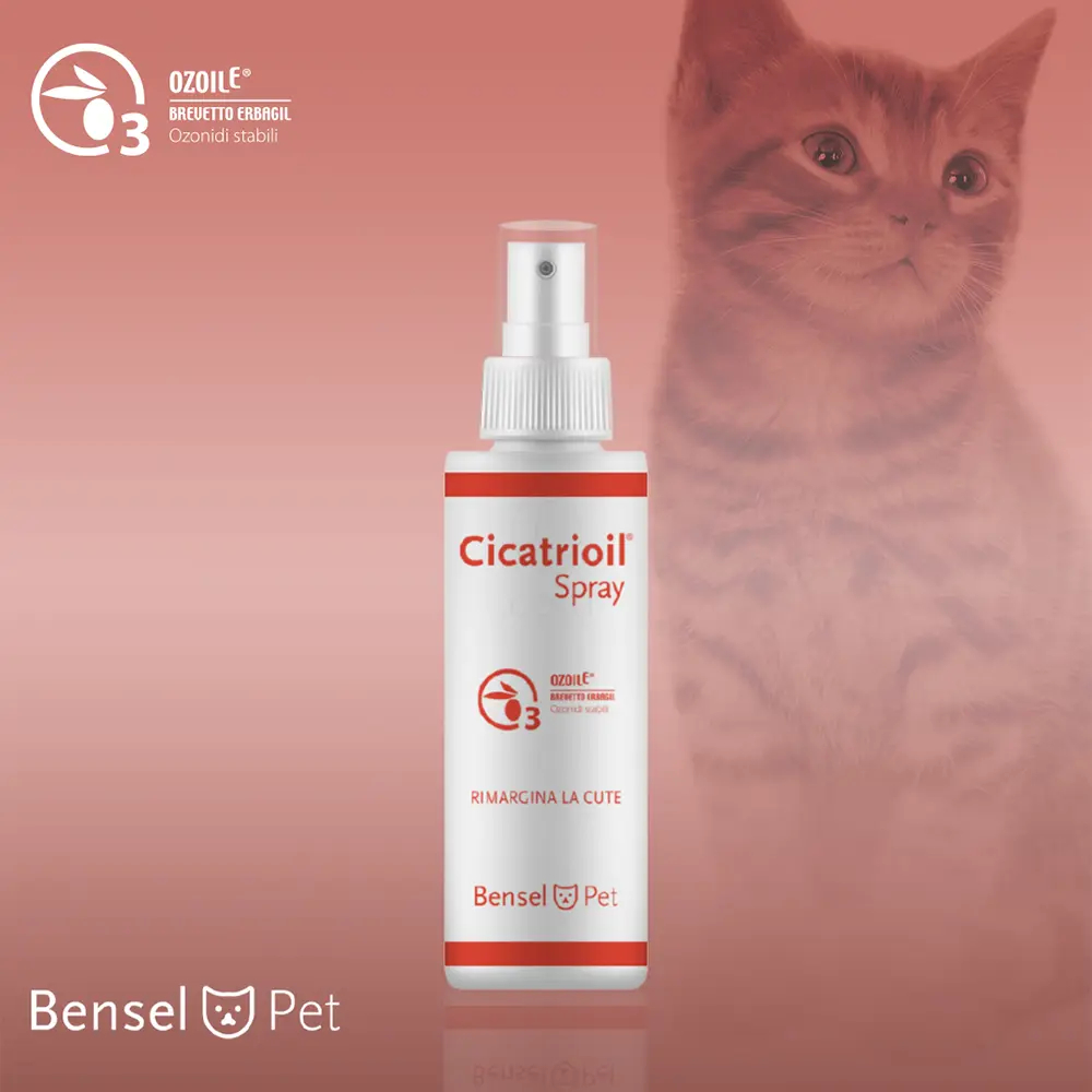 Cicatrioil, pršilo (20 ml)