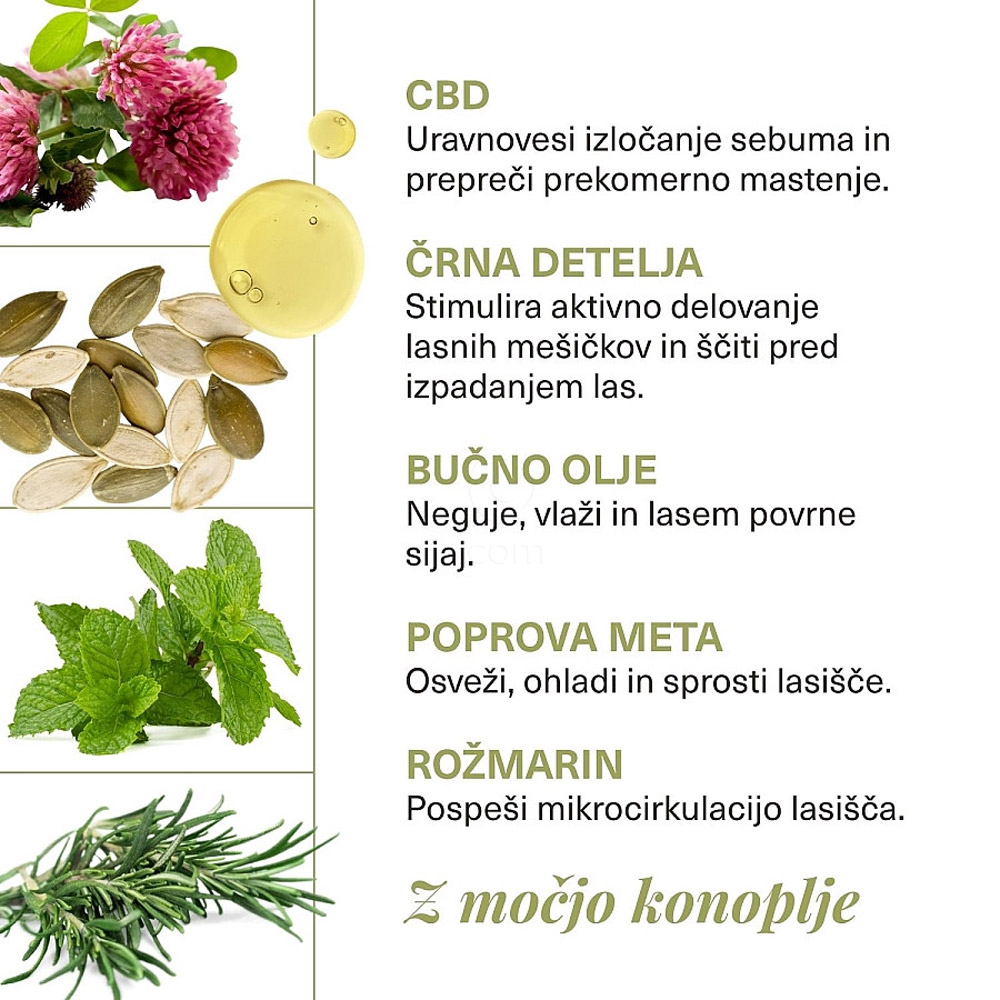 Hemptouch CBD Revive, tretma za lasišče (100 ml)