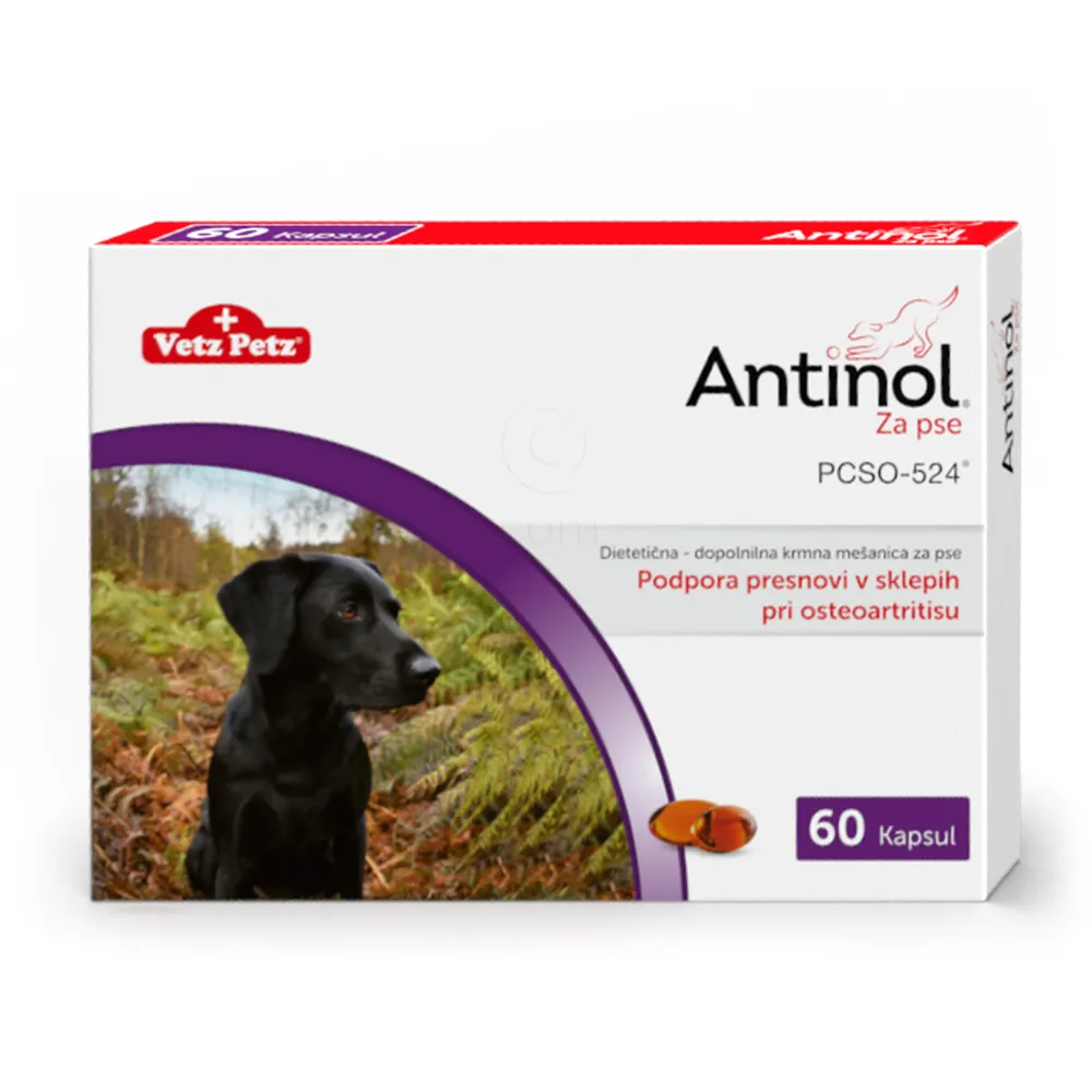 Antinol za pse Vetz Petz, kapsule za podporo presnov v sklepih pri osteoartritisu (60 kapsul)