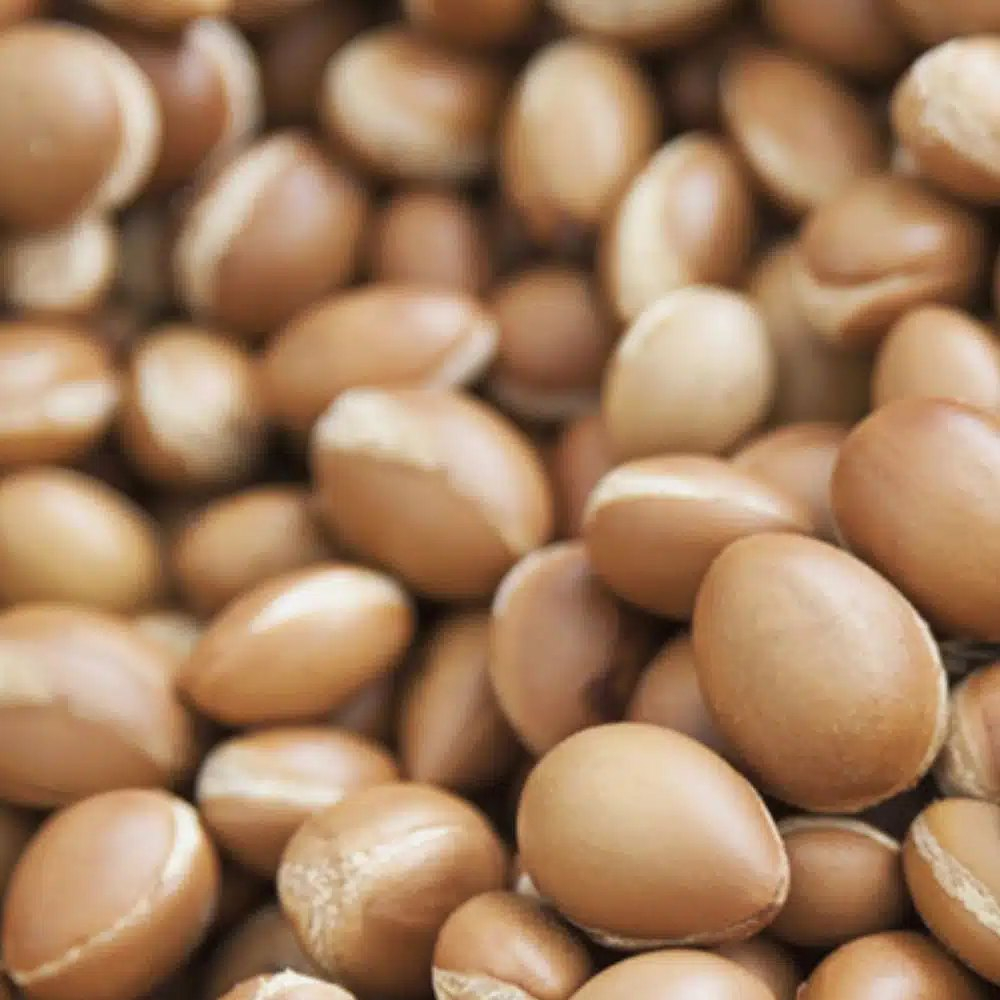 Bioclin Bio - Argan, arganovo olje za lase (100 ml) 