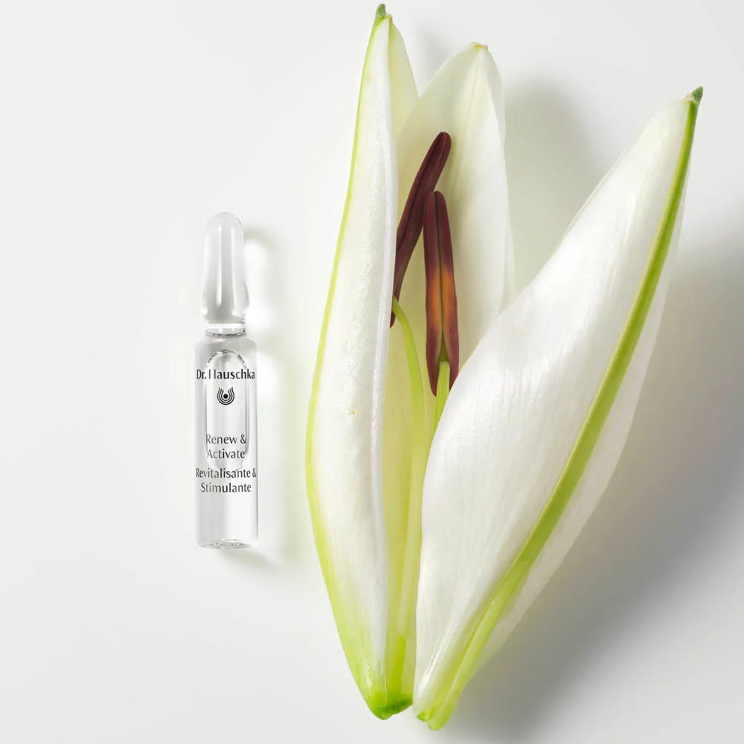 Dr. Hauschka, ampule za obnovo in aktivacijo - nočna kura za obraz (28 x 2 ml)