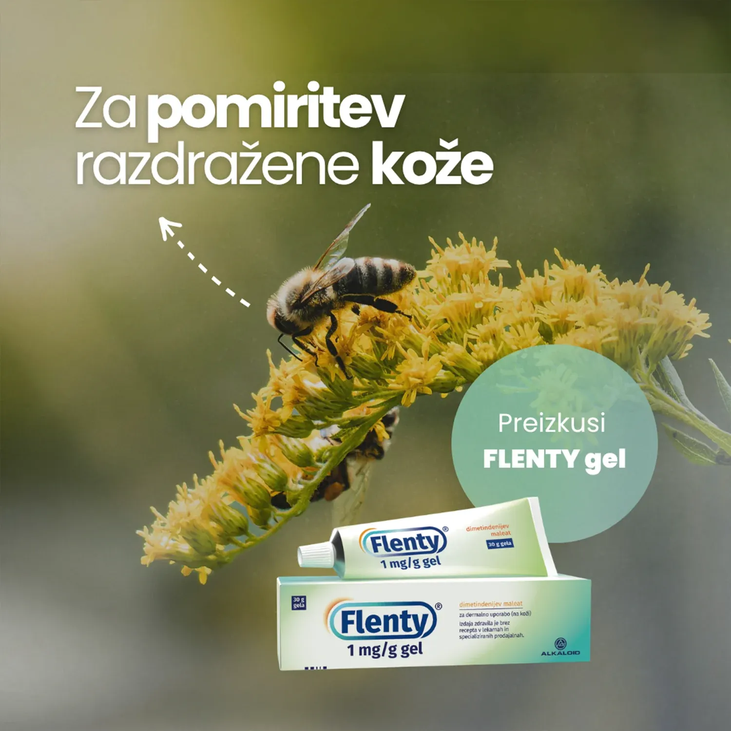 flenty - čebele