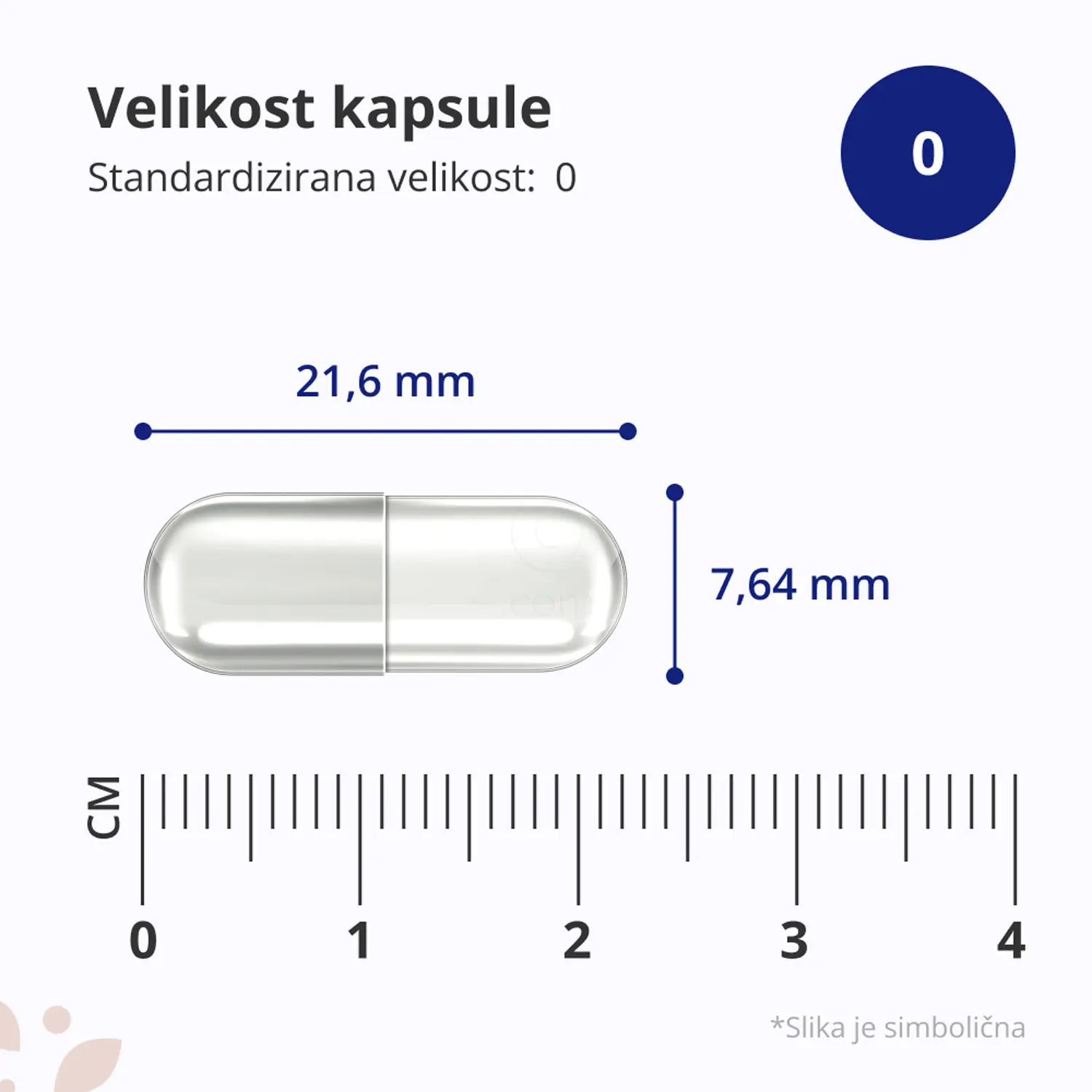 Prostata kompleks velikost kapsule