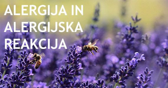 Alergijske reakcije - kako jih prepoznamo in kako reagirati.