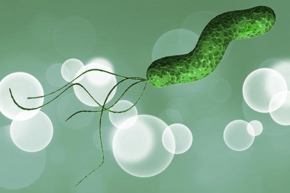 Okužba z bakterijo Helicobacter pylori