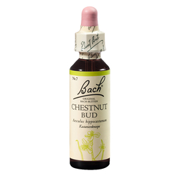 Bach Esenca št.7 - Popek divjega kostanja (Chestnut Bud), kapljice (20 ml