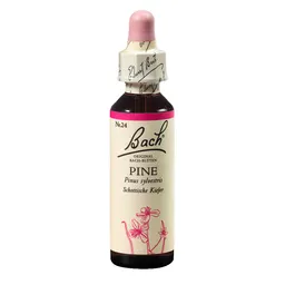 Bach Esenca št. 24 - Bor, kapljice (20 ml)