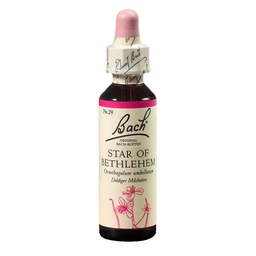 Bach Esenca št. 29 - Betlehemska zvezda, kapljice (20 ml)