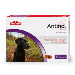 Antinol za pse Vetz Petz, kapsule za podporo presnov v sklepih pri osteoartritisu (60 kapsul)