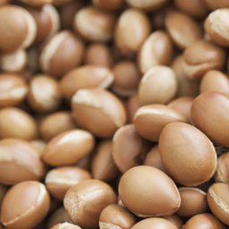 Bioclin Bio - Argan, arganovo olje za lase (100 ml) 