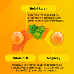 Supradyn Energija No Stress, prašek v vrečicah (20 vrečic)