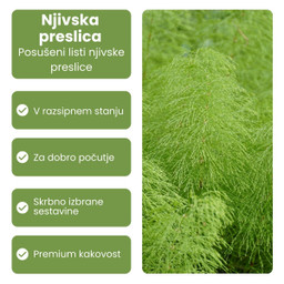 njivksa preslica