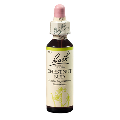 Bach Esenca št.7 - Popek divjega kostanja (Chestnut Bud), kapljice (20 ml)