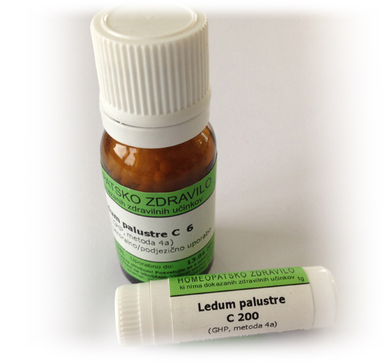 Ledum palustre, kroglice - 1 g (C12)