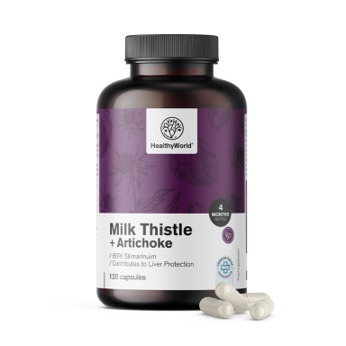HealthyWorld Pegasti badelj + artičoka, kapsule (120 kapsul)